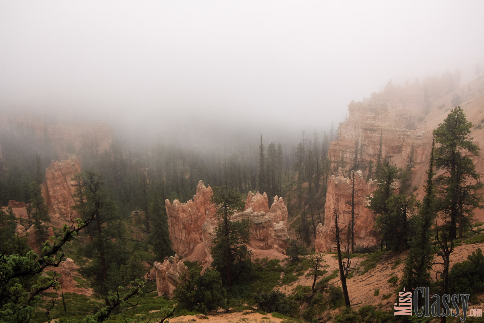 TRAVEL Bryce Canyon und Zion Nationalpark, Miss Classy, miss-classy.com, Lifestyleblog, Lifestyleblogger, Lifestyleblog Graz, Travelblog, Travelblogger, Graz, Steiermark, Österreich, classy, beclassy, Reise, Travel, Wanderlust, Wayfarer, USA, Westküste, Roadtrip, Utah, US Nationalparks, Bryce Canyon, Bryce, Best Western, Best Western Plus Ruby's Inn, Ruby's Inn, Zion Nationalpark, Zion Lodge, Emerald Pools, Las Vegas, Dixie National Forest, Red Canyon