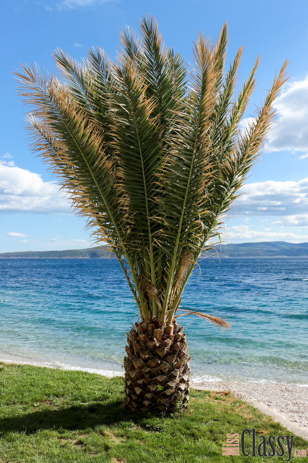 TRAVEL Strandurlaub in Brela - die Perle an der Makarska Riviera, Miss Classy, miss-classy.com, Lifestyleblog, Lifestyleblogger, Lifestyleblog Graz, Travelblog, Travelblogger, Graz, Steiermark, Österreich, classy, beclassy, Reise, Travel, Wanderlust, Wayfarer, Kroatien, Croatia, Brela, Makarska, Makarska Riviera, Strand, kristallklares Wasser, Beach Life