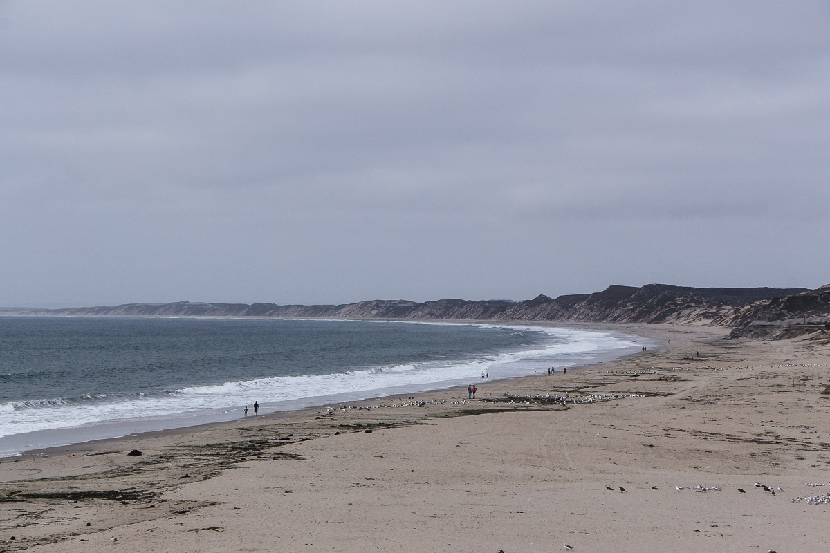 Monterey und Whale Watching in der Monterey Bay, Spaziergang am Monterey State Beach, USA, Reise Blog, Reisebericht, Westküste, Roadtrip, Kalifornien, Miss Classy