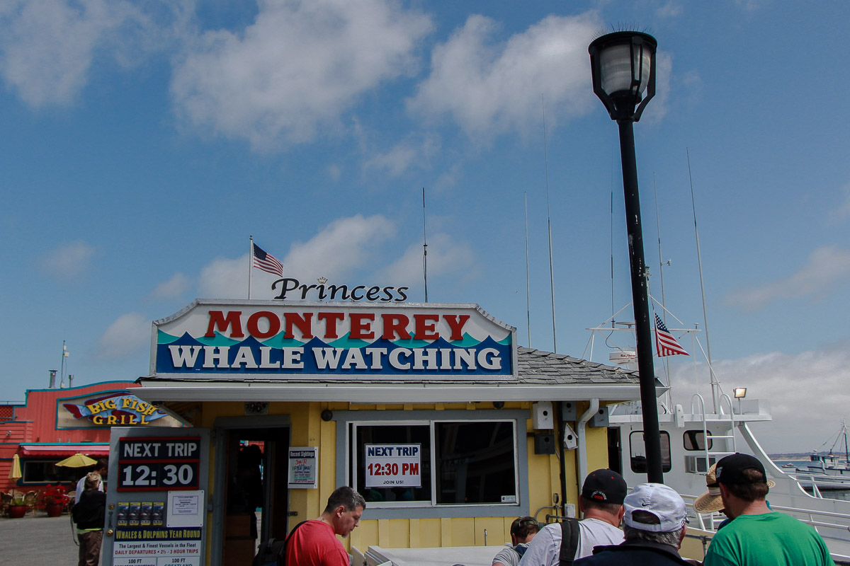 Monterey und Whale Watching in der Monterey Bay, Auf wem Weg zur Whale Watching Tour von Princess Monterey Whale Watching, USA, Reise Blog, Reisebericht, Westküste, Roadtrip, Kalifornien, Miss Classy