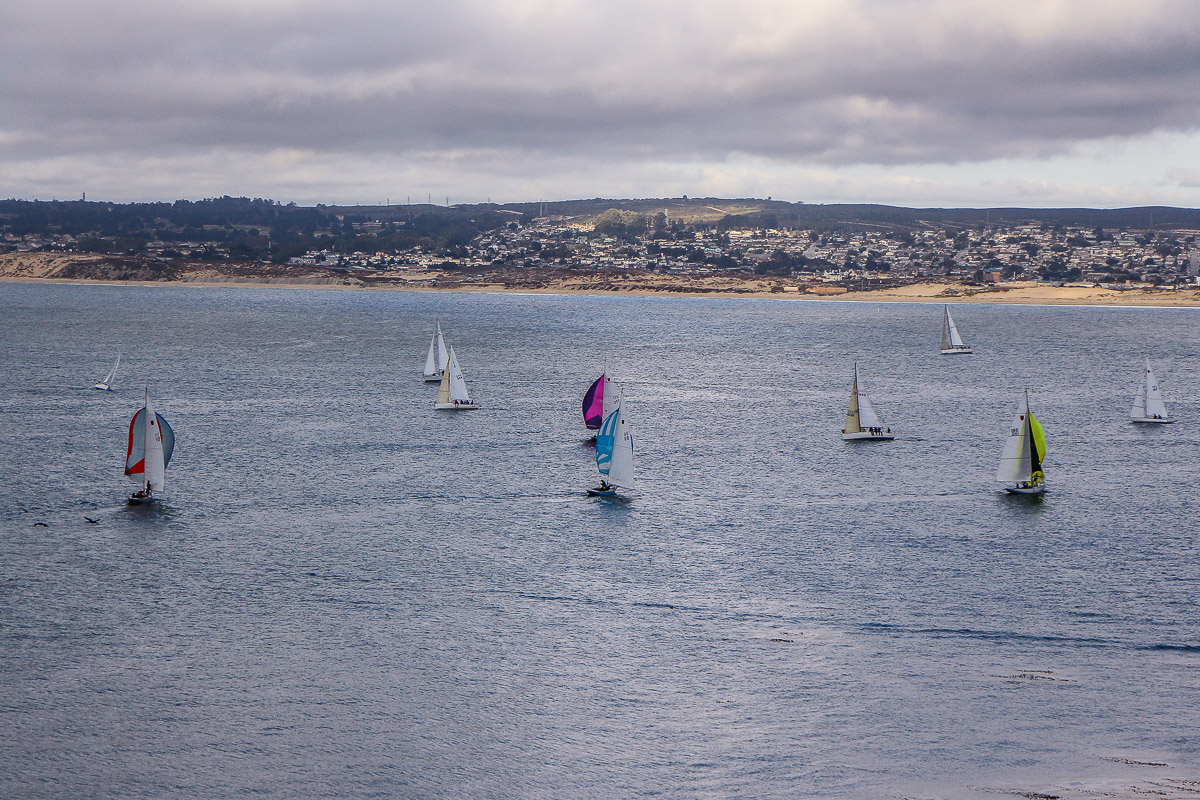 Monterey und Whale Watching in der Monterey Bay, Entspannen auf der Dachterrasse im Monterey Plaza Hotel & Spa, USA, Reise Blog, Reisebericht, Westküste, Roadtrip, Kalifornien, Miss Classy