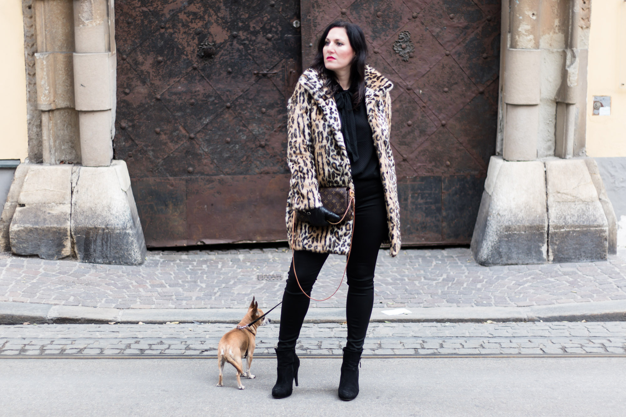 OUTFIT Fake Fur Mantel mit Leopardenmuster und schwarzer Skinny Jeans, Miss Classy, Grazer Fashion Blog, Lifestyle Blog, Bloggerin Graz, classy Fashion, Faux Fur Mantel, Leopardenprint, Fake Fur, Chihuahua, Hund, Lederhandschuhe, Favorite Clutch von Louis Vuitton, schwarze Bluse, Stiefeletten