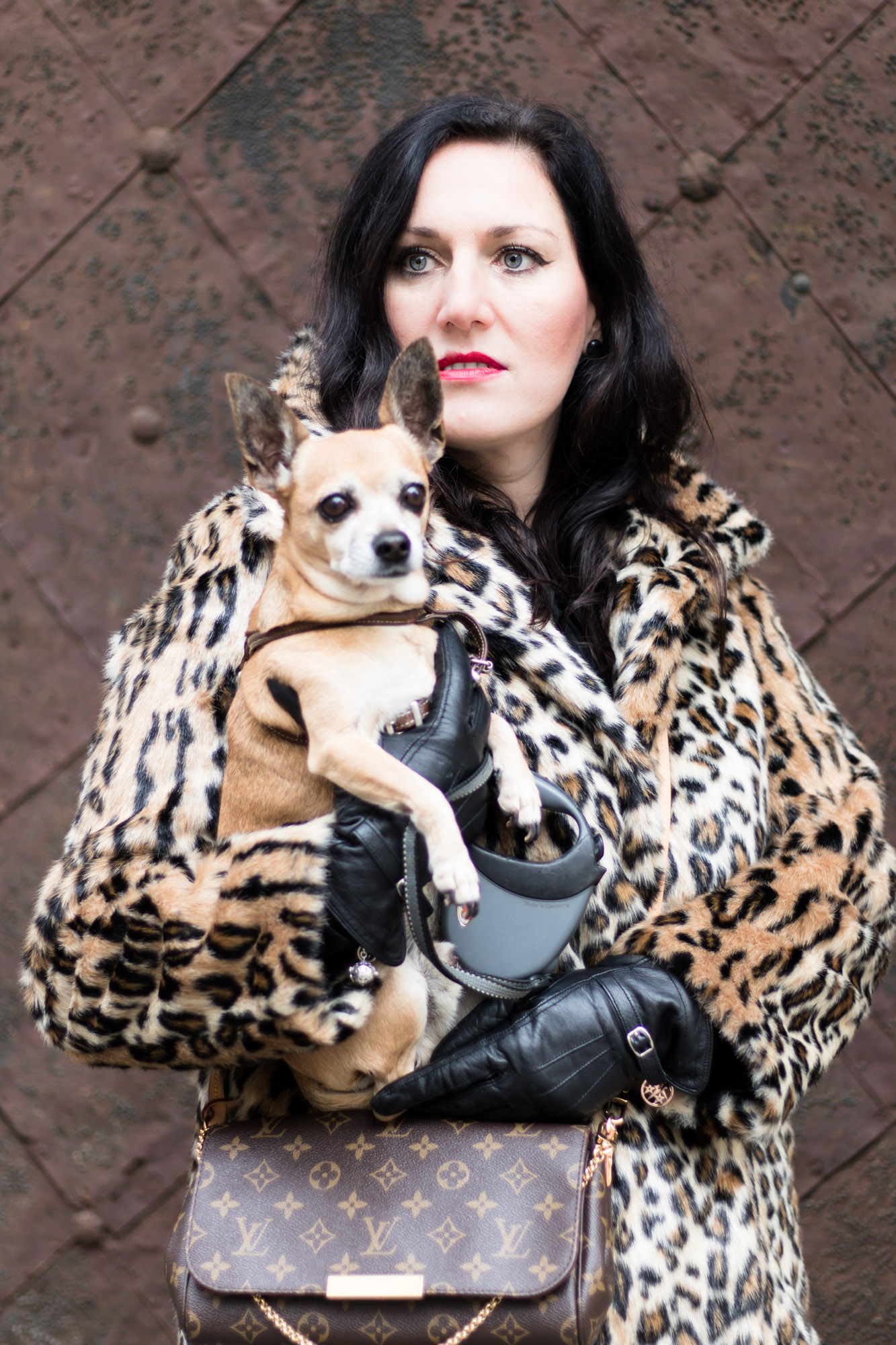 OUTFIT Fake Fur Mantel mit Leopardenmuster und schwarzer Skinny Jeans, Miss Classy, Grazer Fashion Blog, Lifestyle Blog, Bloggerin Graz, classy Fashion, Faux Fur Mantel, Leopardenprint, Fake Fur, Chihuahua, Hund, Lederhandschuhe, Favorite Clutch von Louis Vuitton, schwarze Bluse, Stiefeletten