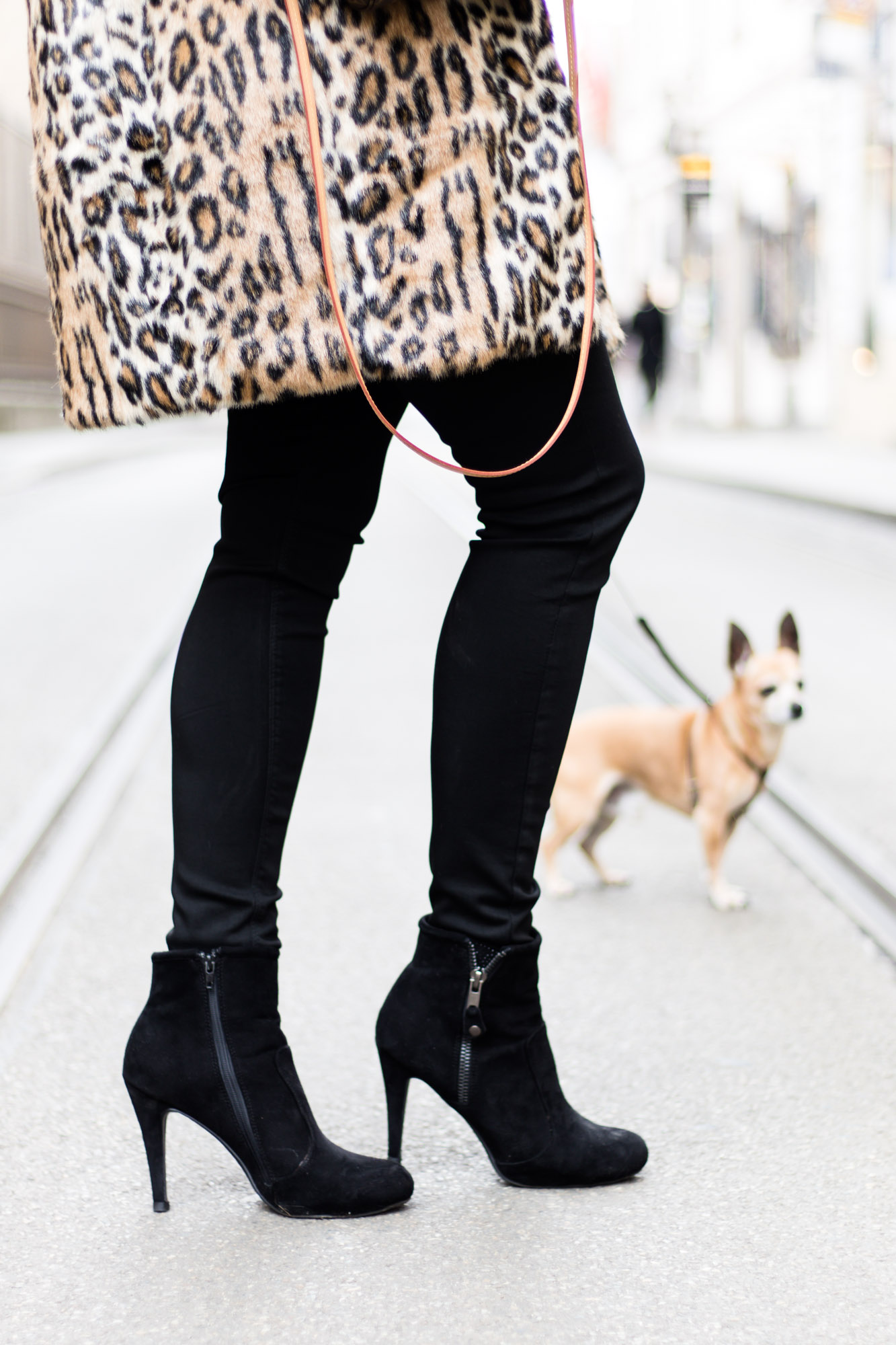 OUTFIT Fake Fur Mantel mit Leopardenmuster und schwarzer Skinny Jeans, Miss Classy, Grazer Fashion Blog, Lifestyle Blog, Bloggerin Graz, classy Fashion, Faux Fur Mantel, Leopardenprint, Fake Fur, Chihuahua, Hund, Lederhandschuhe, Favorite Clutch von Louis Vuitton, schwarze Bluse, Stiefeletten