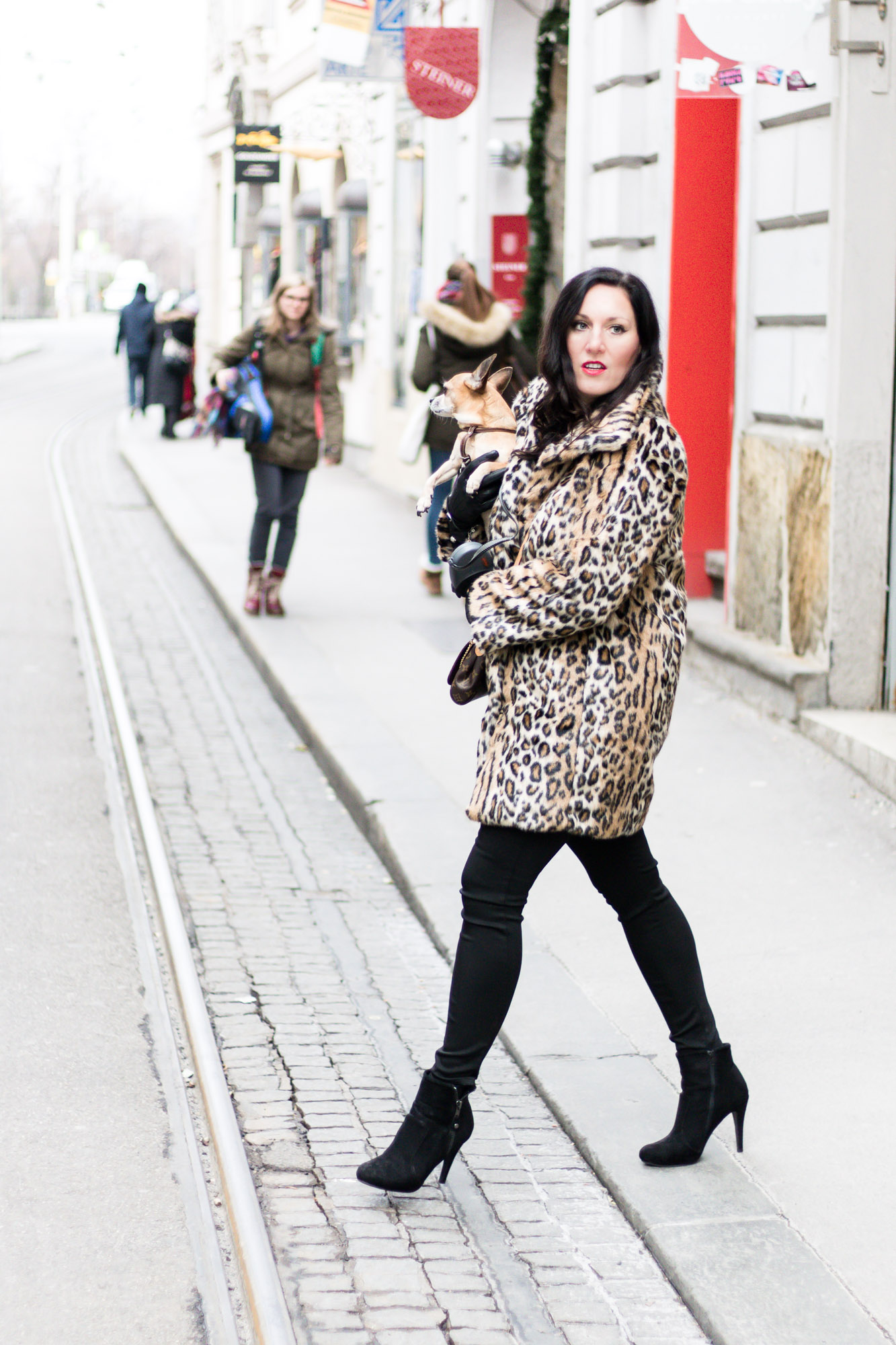 OUTFIT Fake Fur Mantel mit Leopardenmuster und schwarzer Skinny Jeans, Miss Classy, Grazer Fashion Blog, Lifestyle Blog, Bloggerin Graz, classy Fashion, Faux Fur Mantel, Leopardenprint, Fake Fur, Chihuahua, Hund, Lederhandschuhe, Favorite Clutch von Louis Vuitton, schwarze Bluse, Stiefeletten