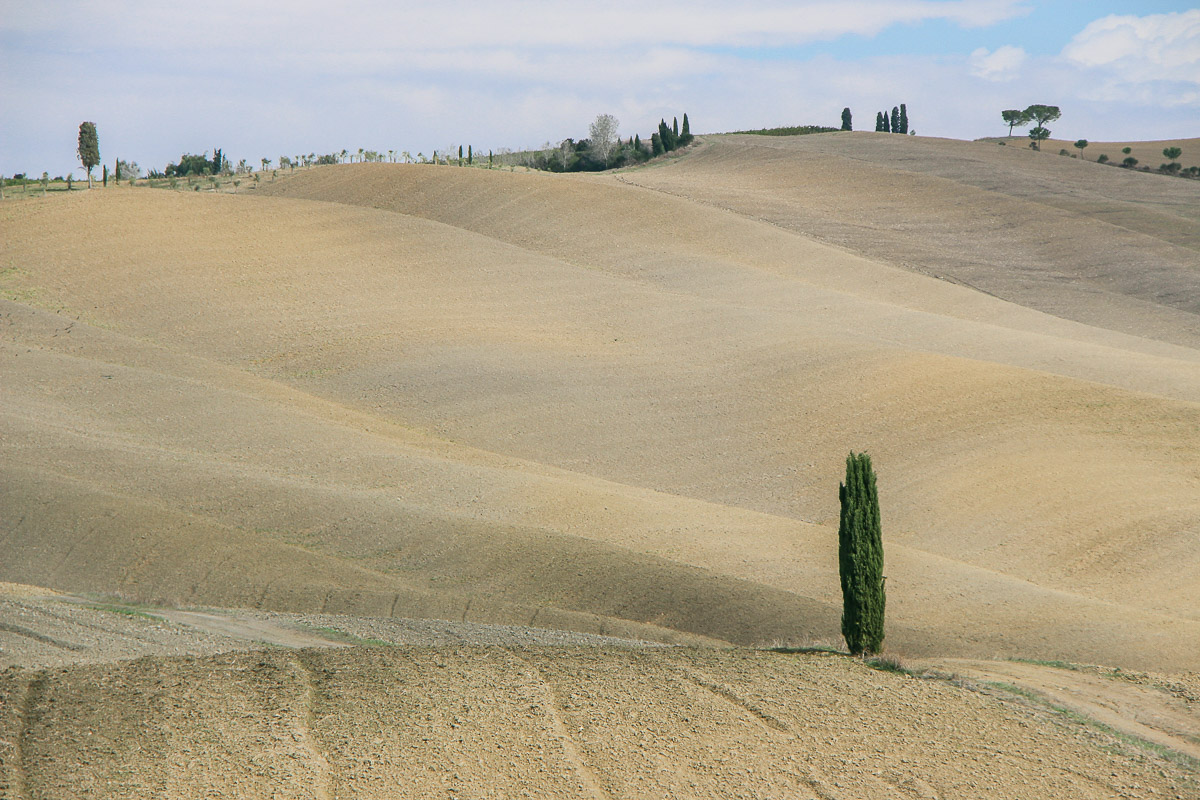 Val d'Orcia - das malerische Paradies im Süden der Toskana, Miss Classy, Travel Blog, Travel Blogger, Reise Blog, Reisebericht, Toskana, Val d'Orcia, Strada Provinciale 146