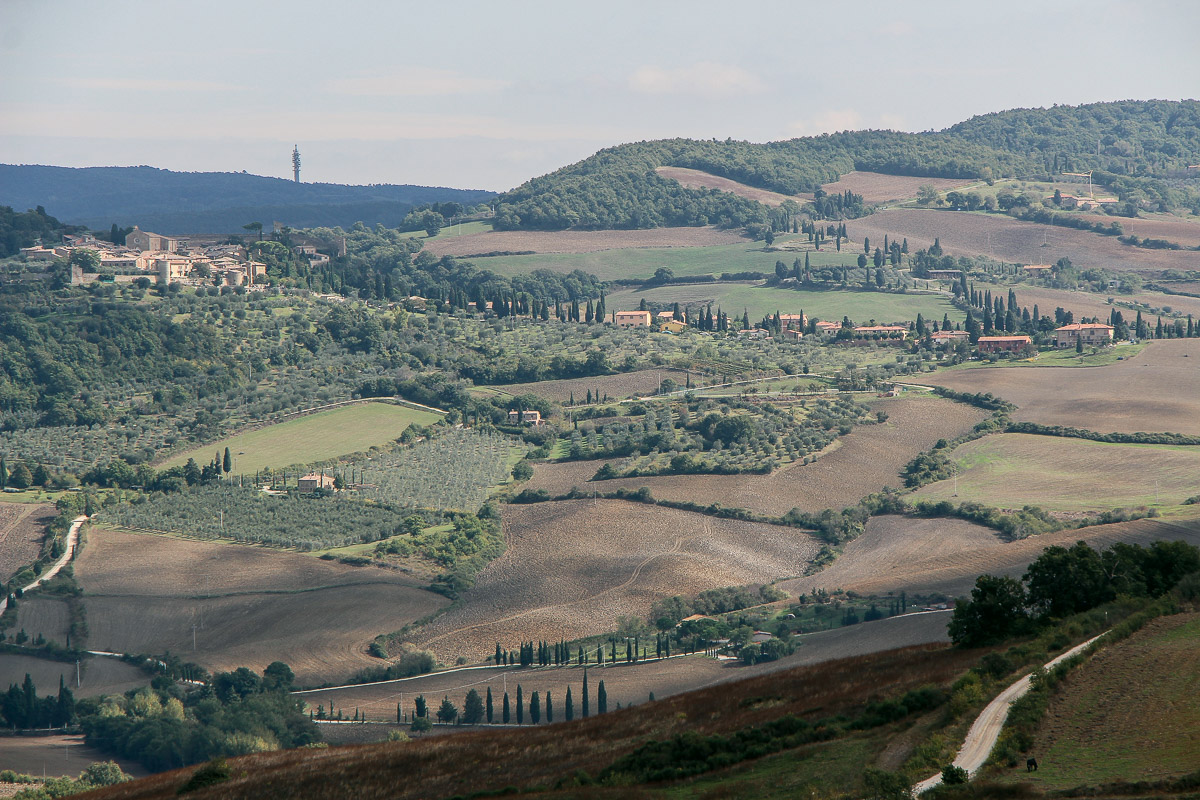 Val d'Orcia - das malerische Paradies im Süden der Toskana, Pienza, Miss Classy, Travel Blog, Travel Blogger, Reise Blog, Reisebericht, Toskana, Val d'Orcia, Strada Provinciale 146