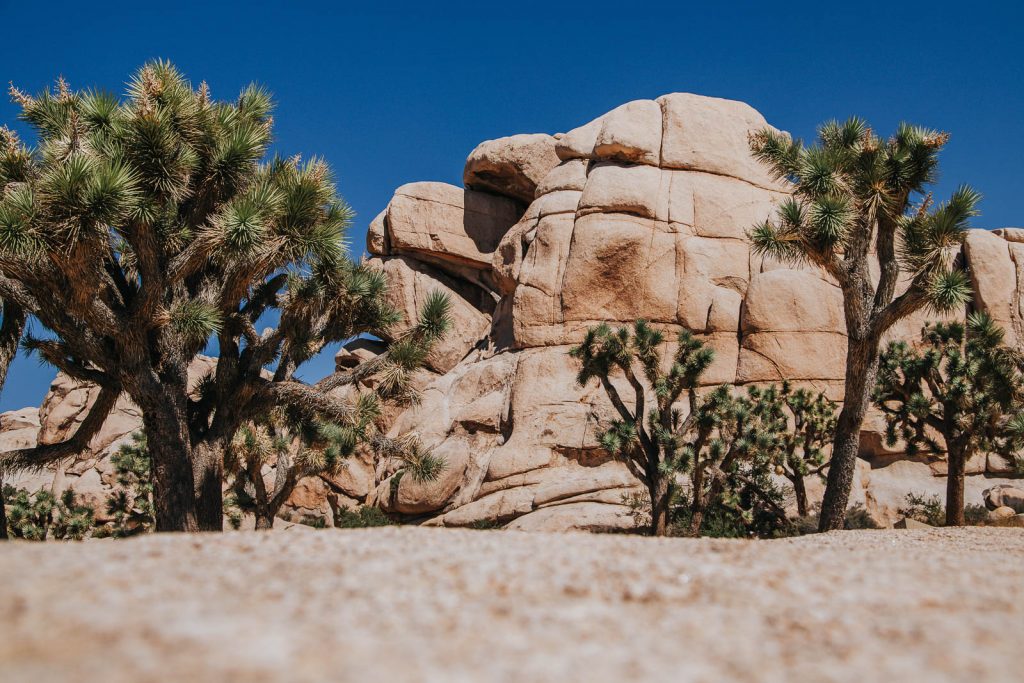 Hidden Valley - Die schönsten Reisefotos - Joshua Tree Nationalpark Bilder