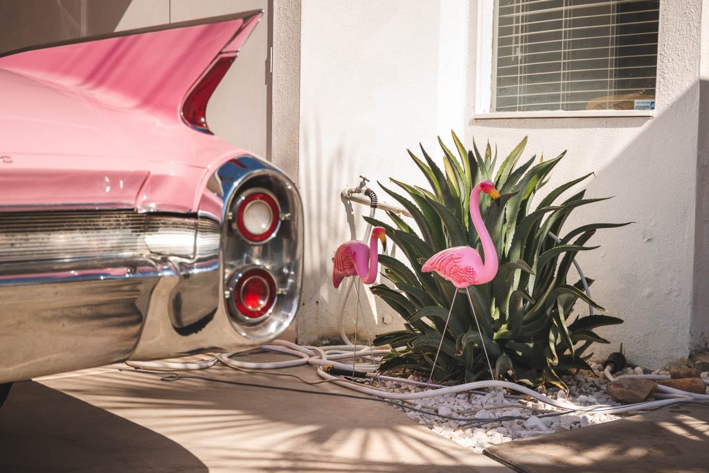 Pink Cadillac, Flamingos