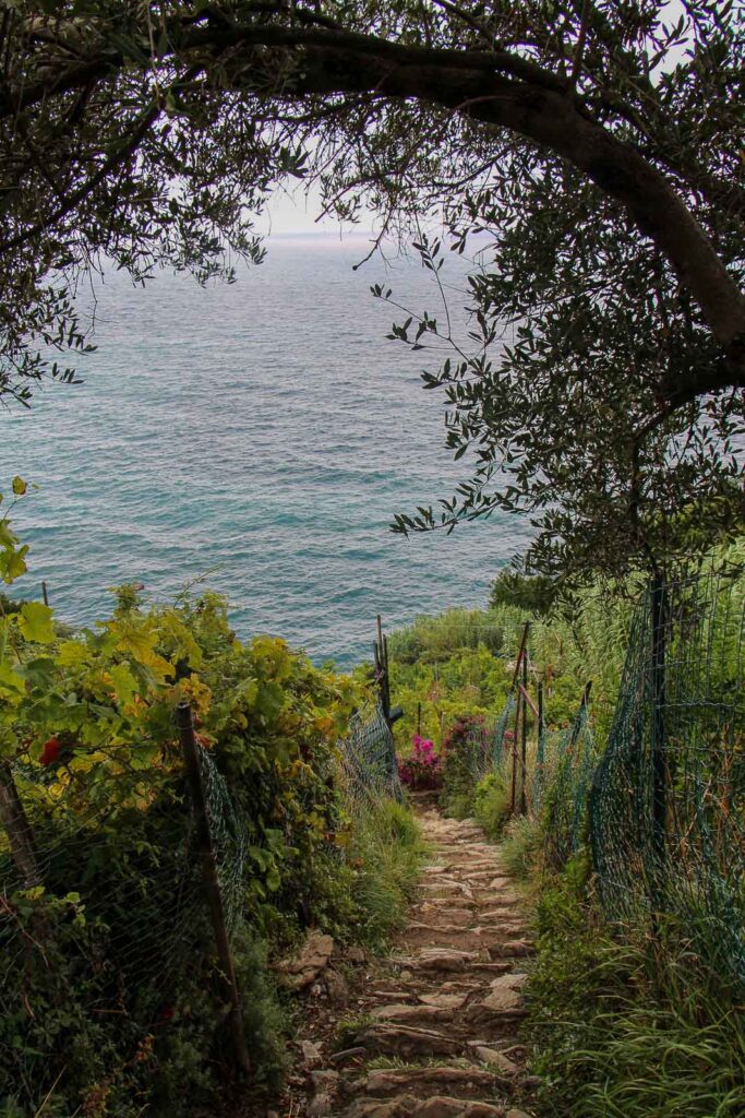 Wanderweg, Cinque Terre